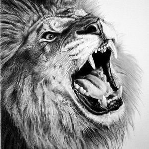 Meet your Posher, Paul